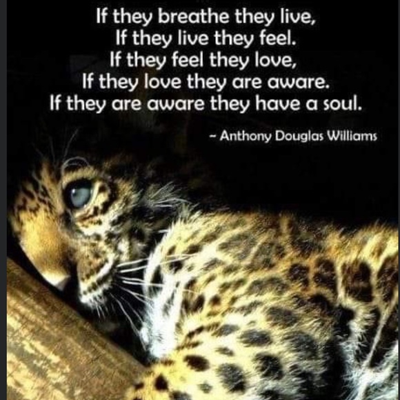 Thoughts🌿 - Picture 6 of 8